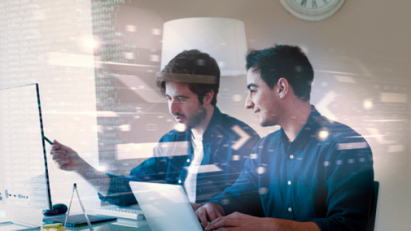 Development & IT Services