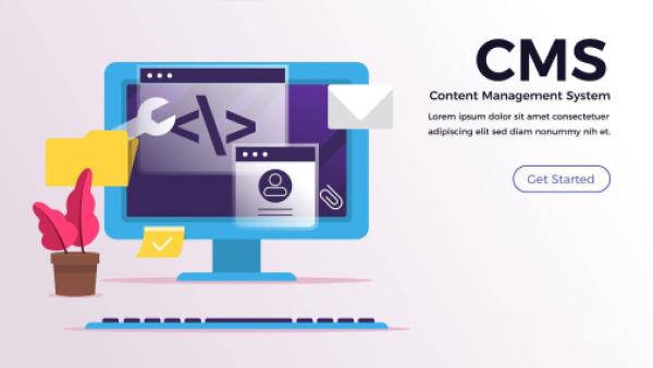 Website & CMS Bug Fixes